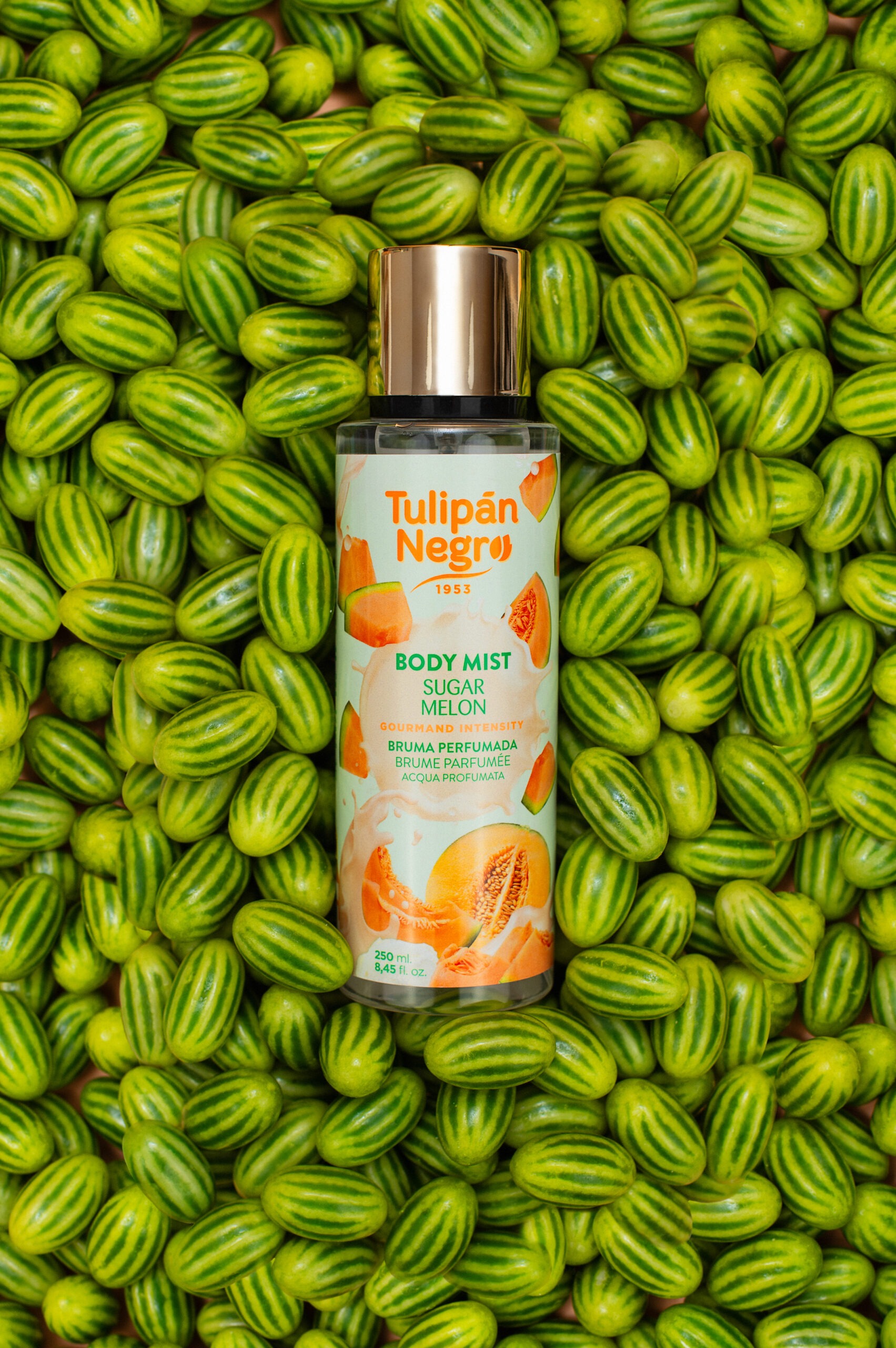 Mist Corp Sugar Melon Tulipan 1