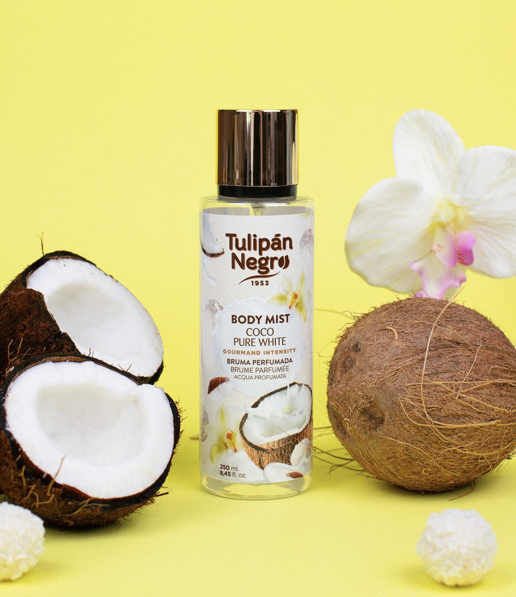 Mist Corp Coco Pure White Tulipan 1