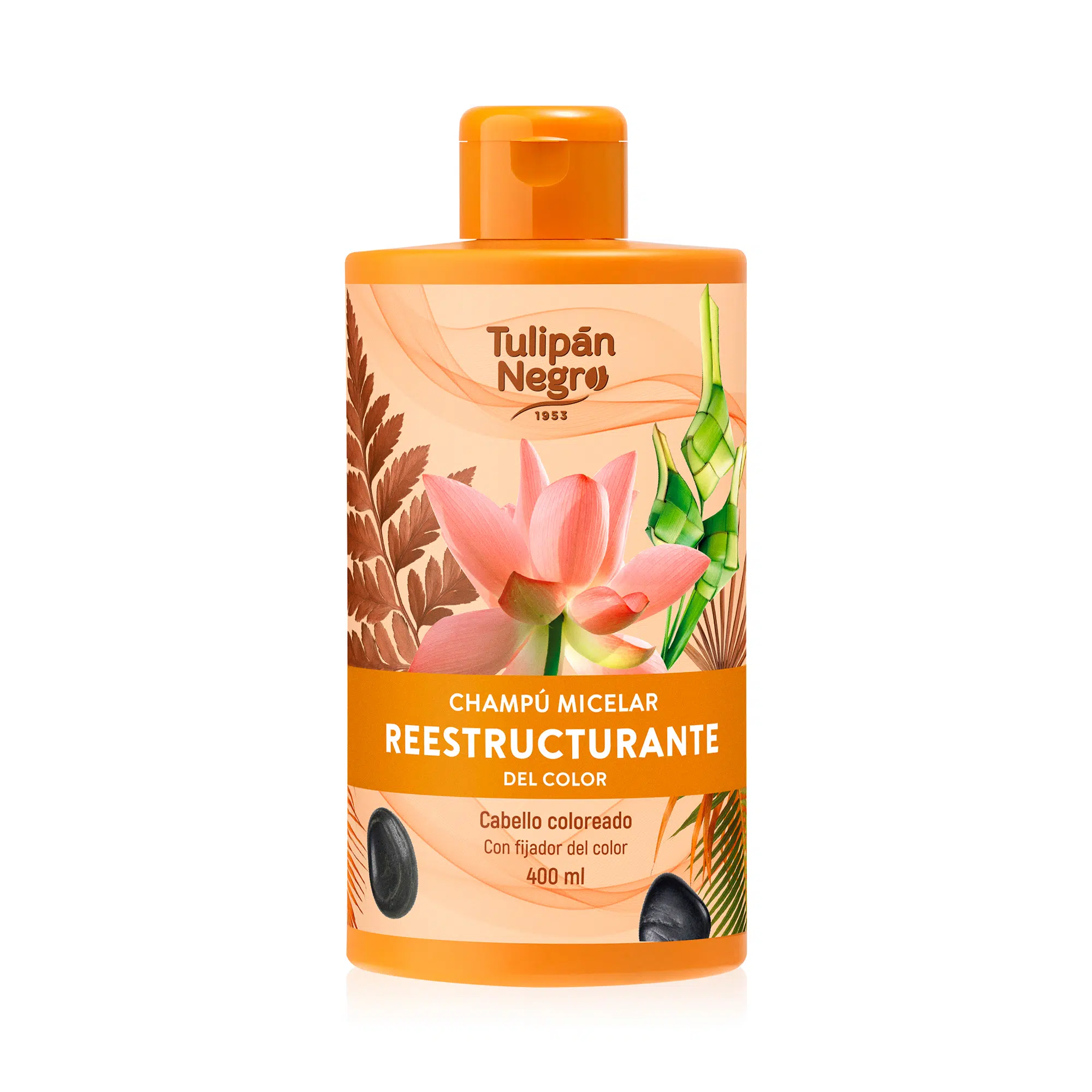 Tulipan Sampon Reestructurante 2