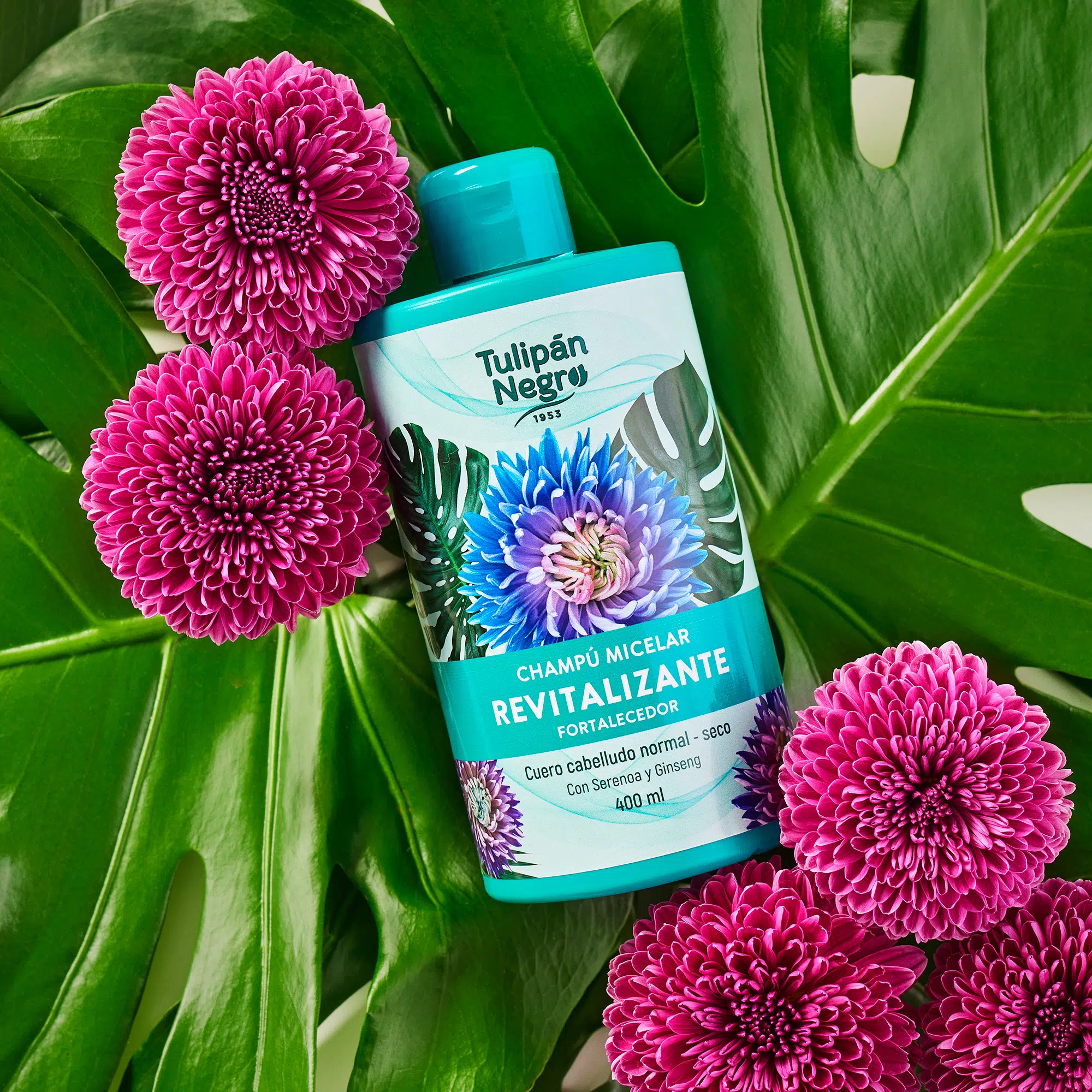 Tulipan Sampon Revitalizante 1