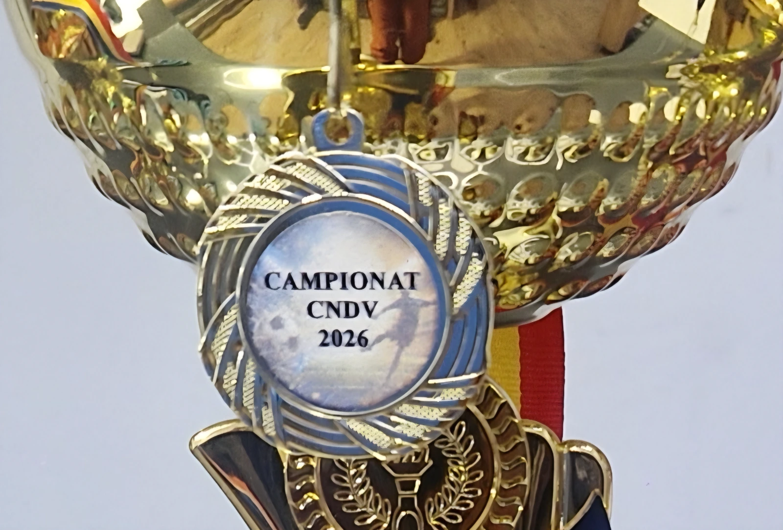 Medalii personalizate cu șnur tricolor 3